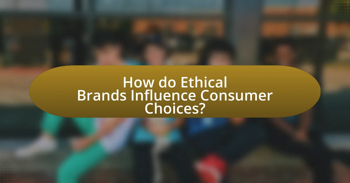 How do Ethical Brands Influence Consumer Choices?