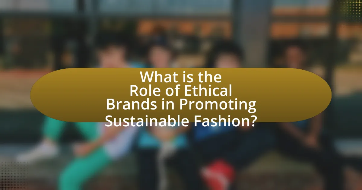 What is the Role of Ethical Brands in Promoting Sustainable Fashion?
